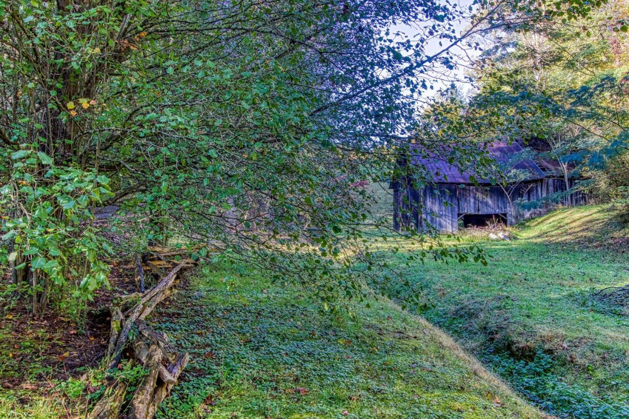 Cozy Creek Cabin Pigeon Forge Eksteriør bilde