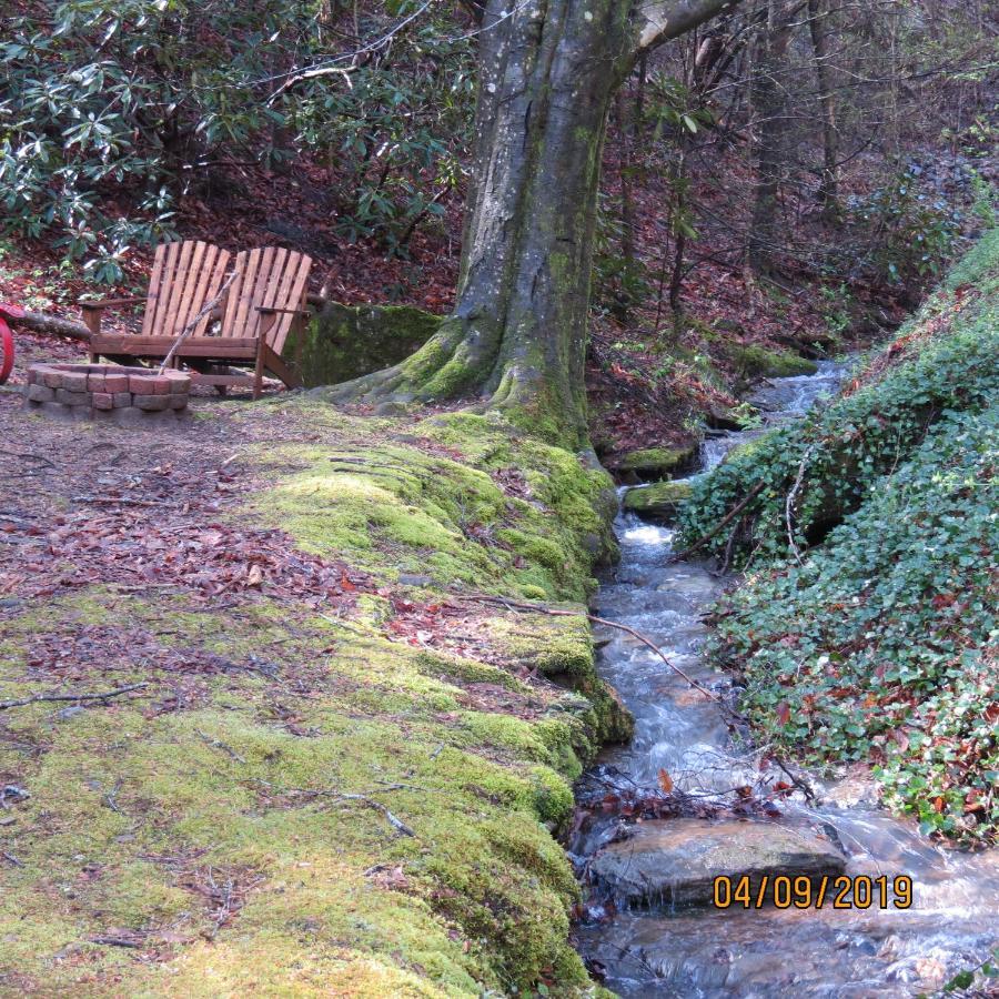 Cozy Creek Cabin Pigeon Forge Eksteriør bilde